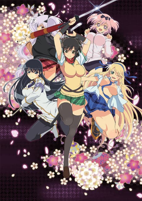 Senran Kagura: Ninja Flash!